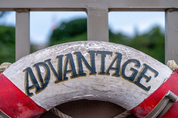 Quels sont les avantages et les inconvénients de la structure divisionnelle ?